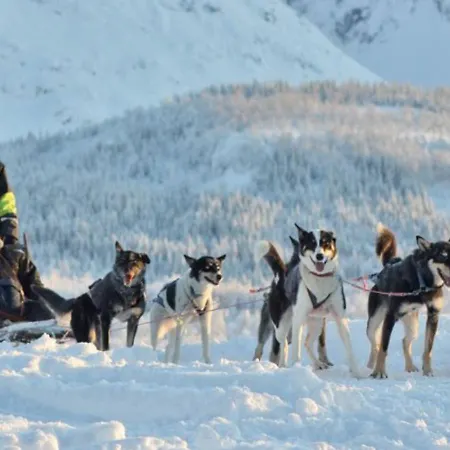 Lyngen Experience *