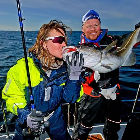 Hytte Lyngen Experience