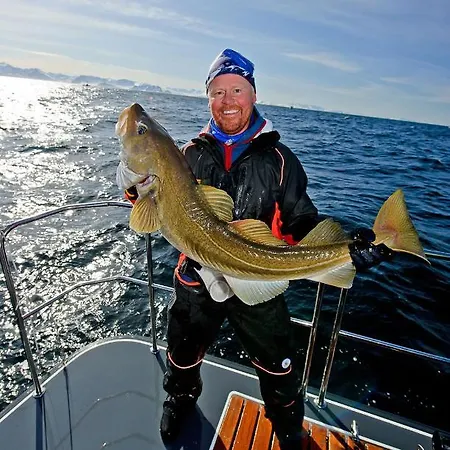 Lyngen Experience Lodger *