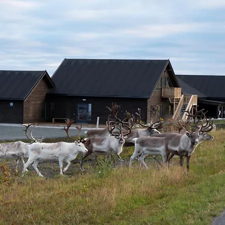 Lyngen Experience * Nord-Lenangen