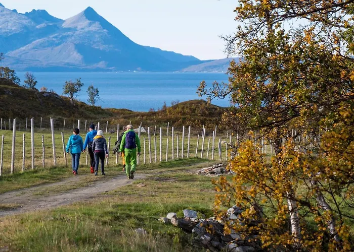 Lyngen Experience * Nord-Lenangen