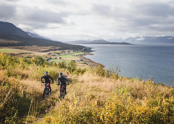 Lyngen Experience Orman Evi *