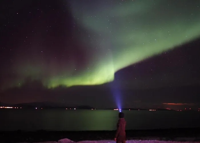 Orman Evi Lyngen Experience Nord-Lenangen