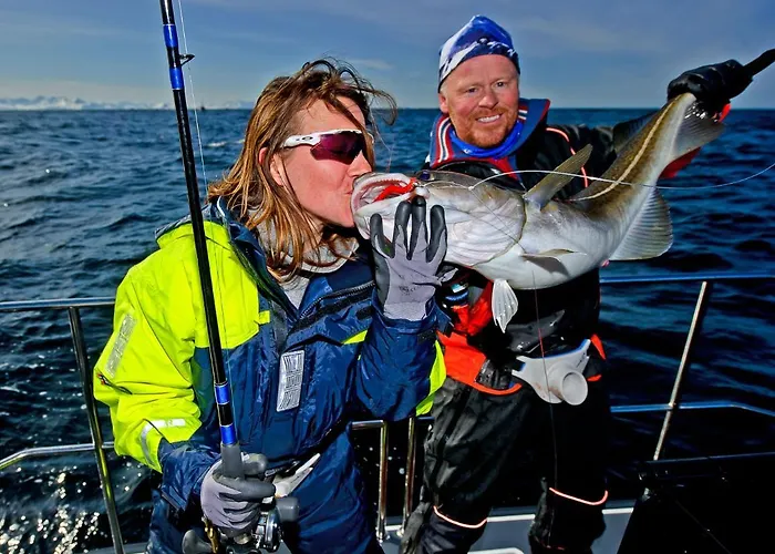 Orman Evi Lyngen Experience