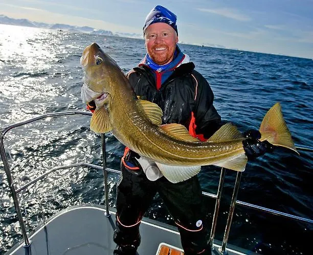 Lyngen Experience Orman Evi *