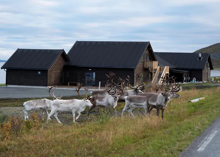 Lyngen Experience * Nord-Lenangen