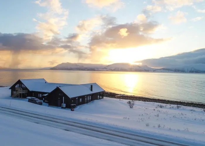 Orman Evi Lyngen Experience *